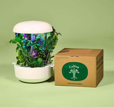 potagé connecté avec des plangtes vertes qui poussent à l'intérieur