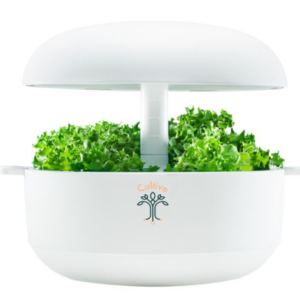 potager connecté blanc arrondit avec des pousses vertes à l'intérieur